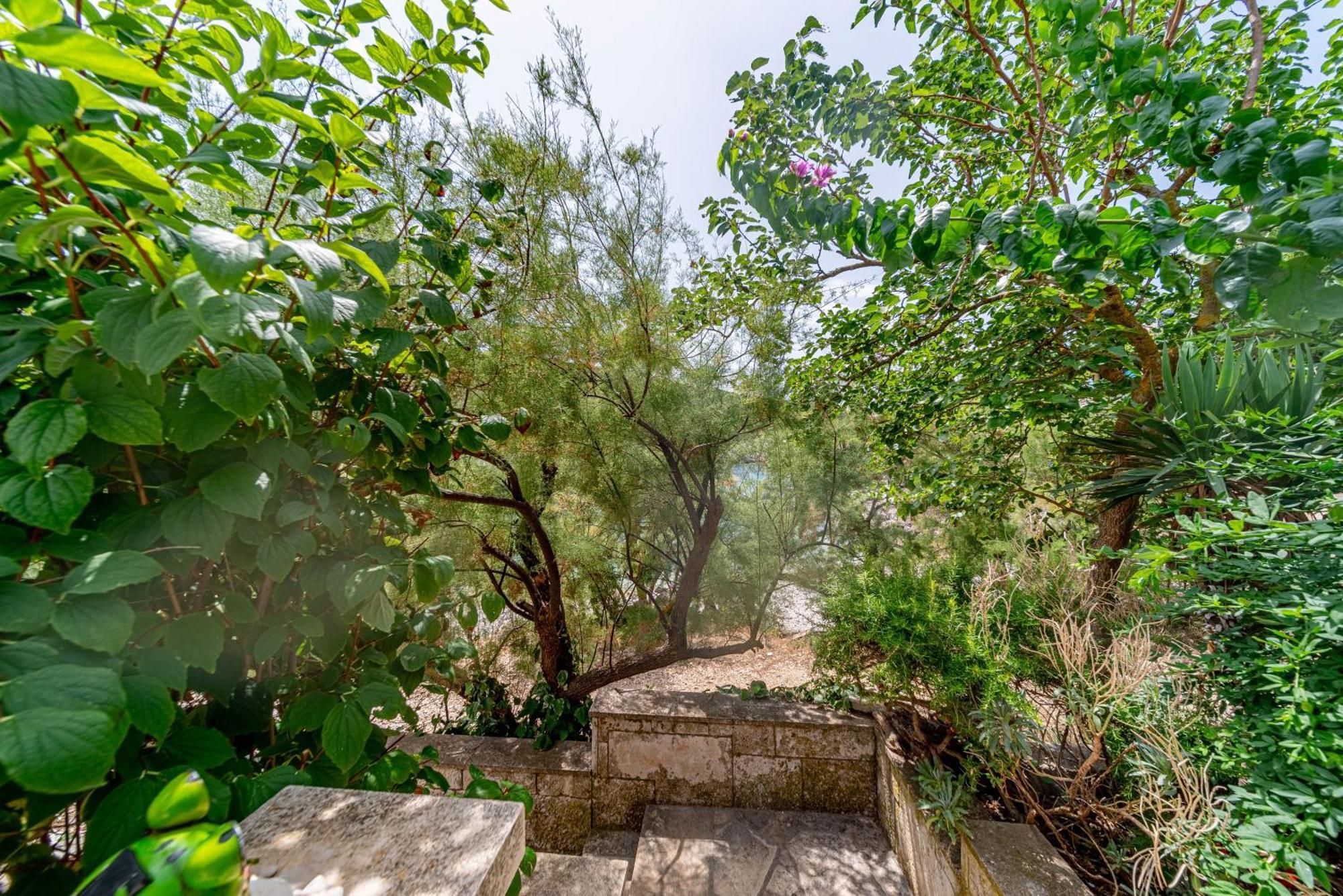 Seaside House For Families With Children Cove Rasohatica, Korcula - 4386 鲁巴达 外观 照片