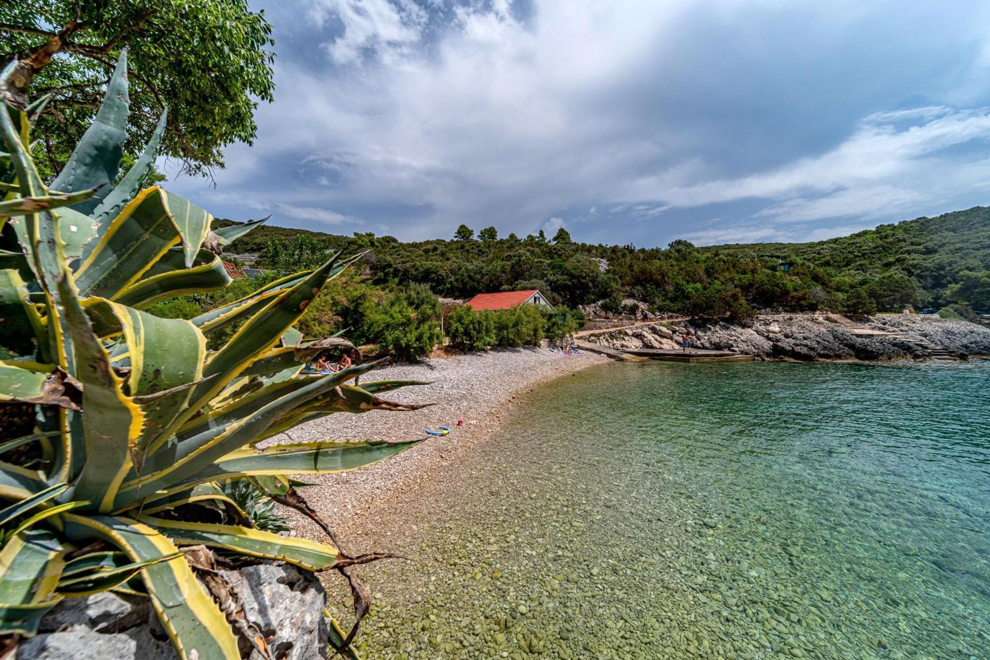 Seaside House For Families With Children Cove Rasohatica, Korcula - 4386 鲁巴达 外观 照片